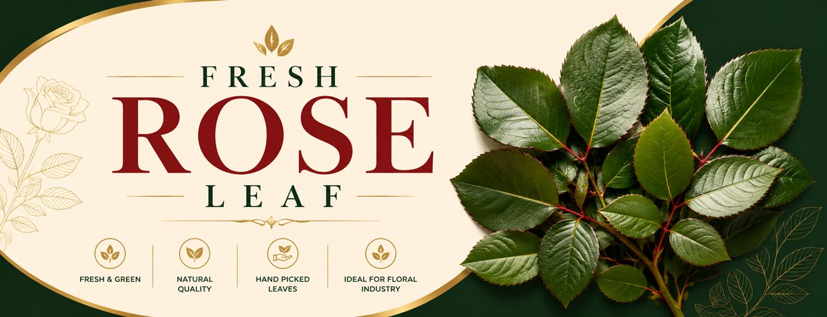 Fresh Rose Leaf