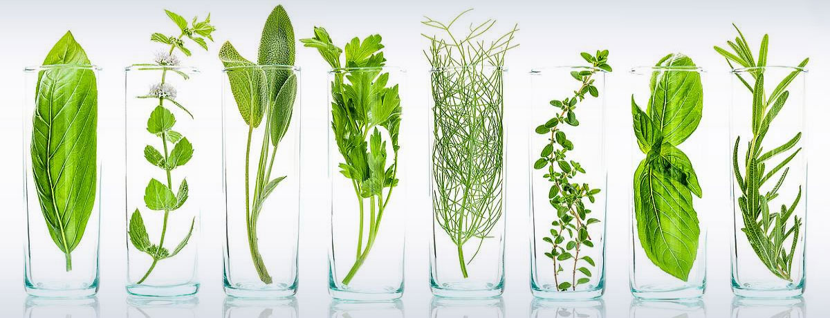 Brownmud Private Limited