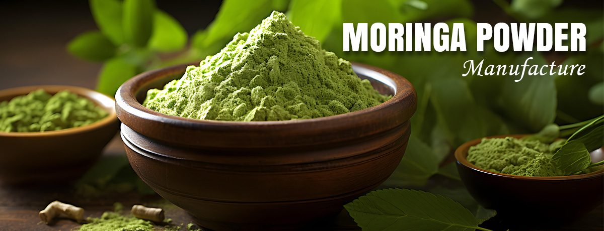 Krishna Leela Foods LLP.(Leafy Crave)