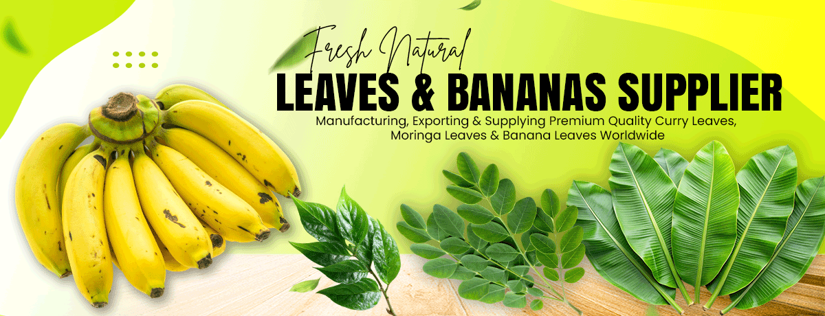 Prathik Global Traders