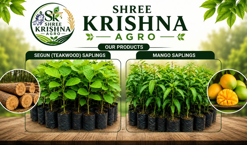 SHREE KRISHNA AGRO