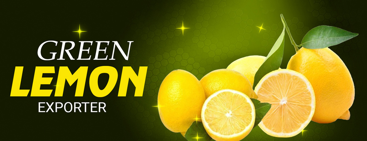 Trademap Import Export Pvt Ltd Banner