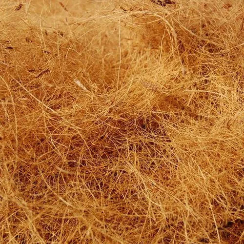 Coir Fibre Coir Fibre