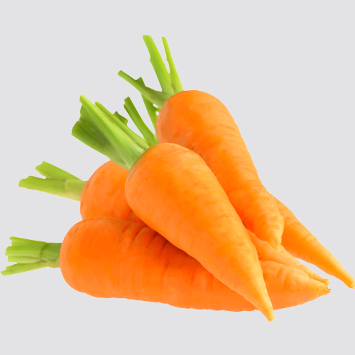 Carrot Carrot
