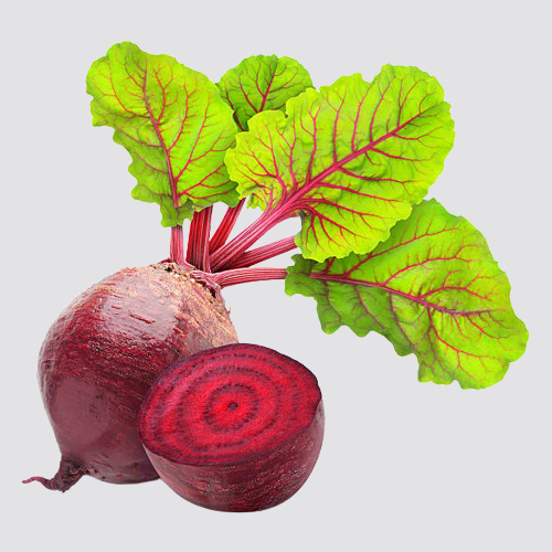 Beetroot Beetroot