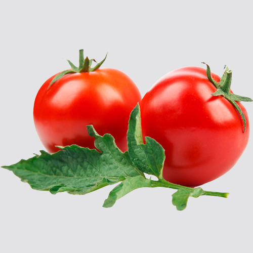 Tomato Tomato