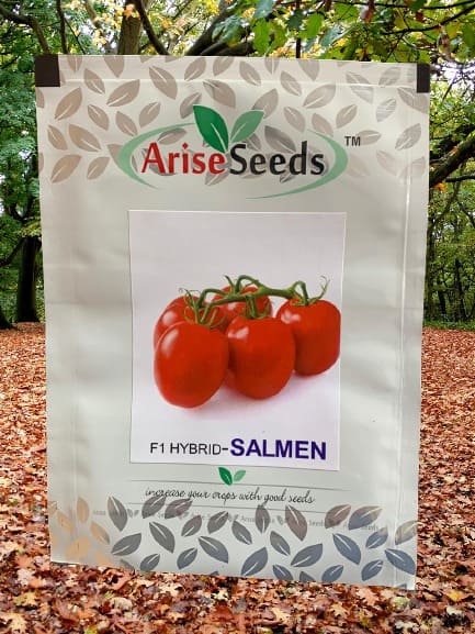 F1 Hybrid Salmen Tomato S..