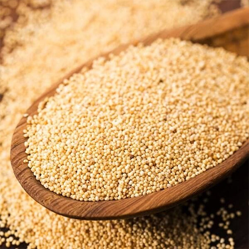 Poppy Seeds Poppy Seeds