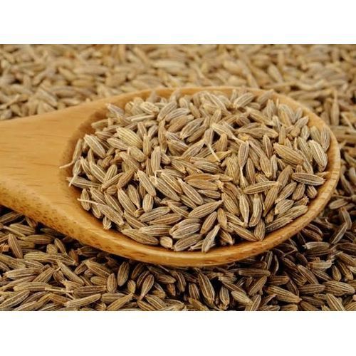 Cumin Seed