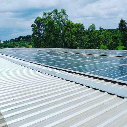 Roof-Top and Tin Shed