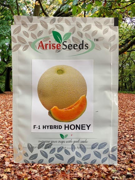 F1 Hybrid Honey Muskmelon..