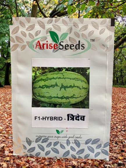 F1 Hybrid Tridev Watermelon