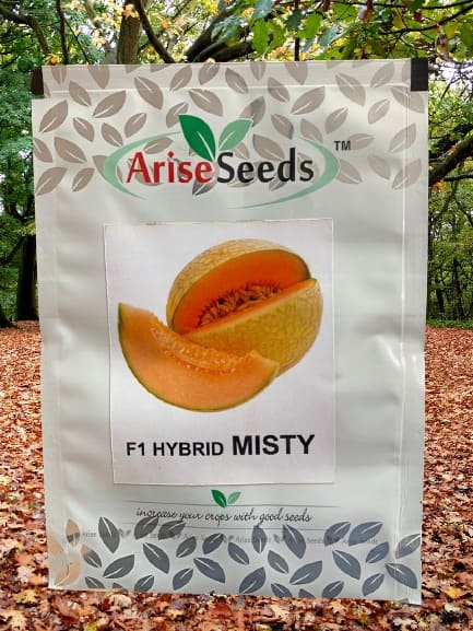 F1 Hybrid Misty Muskmelon..