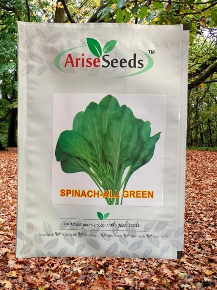 Spinach - All Green Seeds