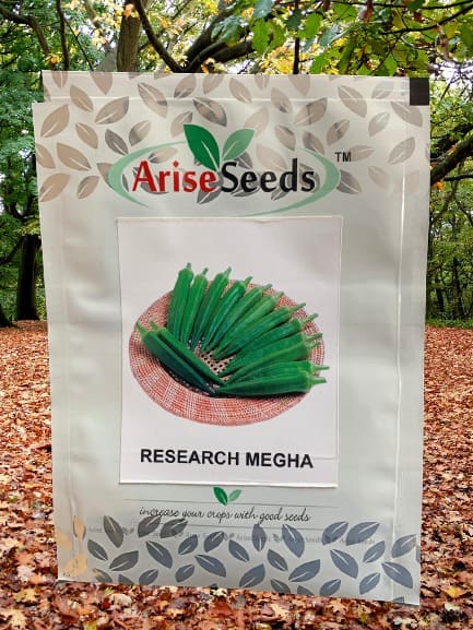 Research Megha lady Finge..