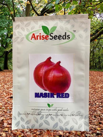 Nashik Red Onion Seeds