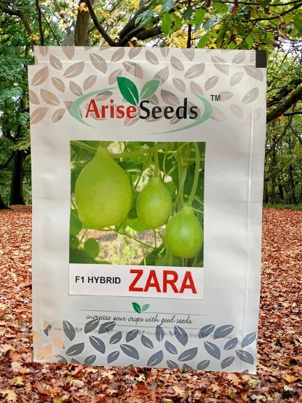 F1 Hybrid Zara Seeds