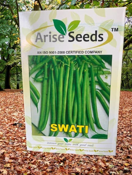 Swati Green Beans Seeds