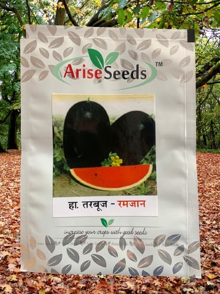 Ramadan Watermelon Seeds