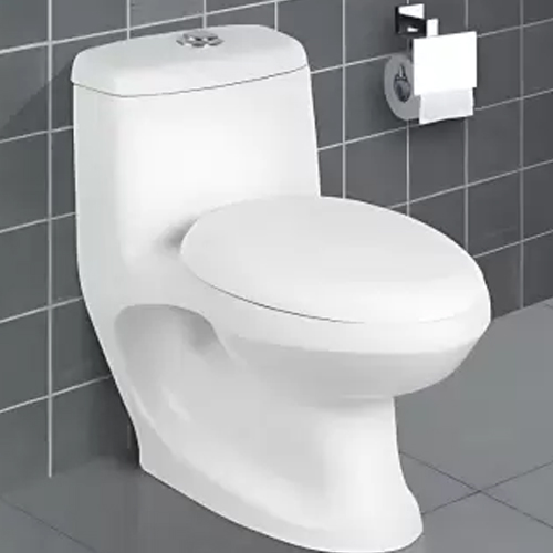 Floor mounted WC