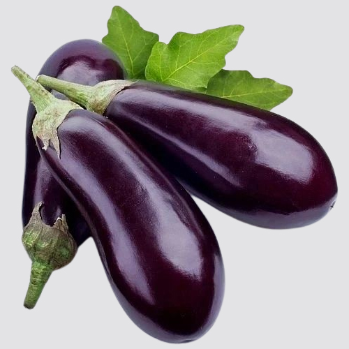 Brinjal