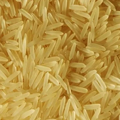 1121 Golden Basmati Sela Rice