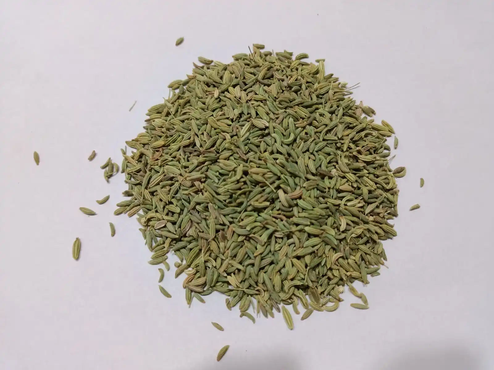 Fennel seed