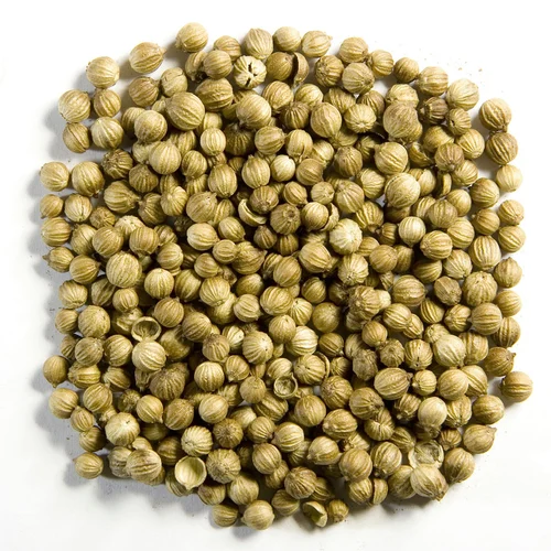 Coriander