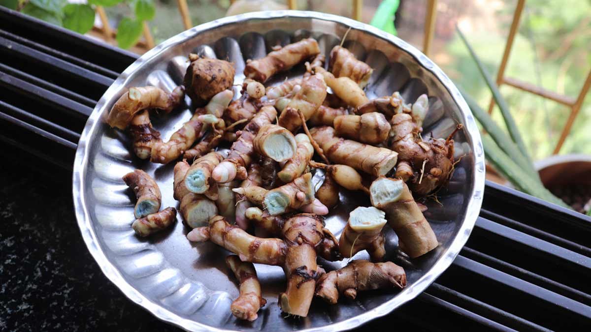 Black Turmeric