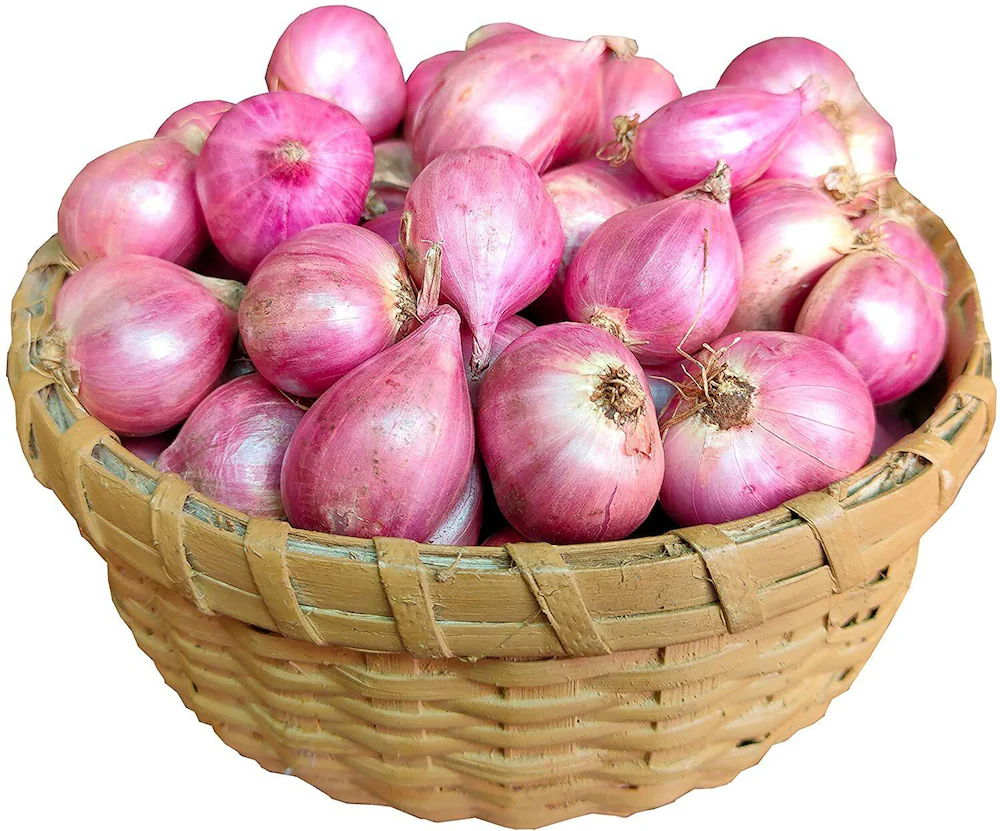Onion