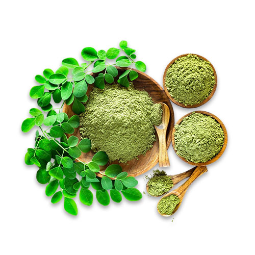 Moringa Powder