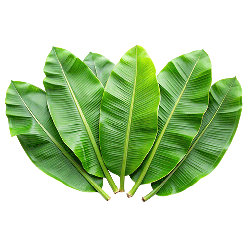 banana leaves