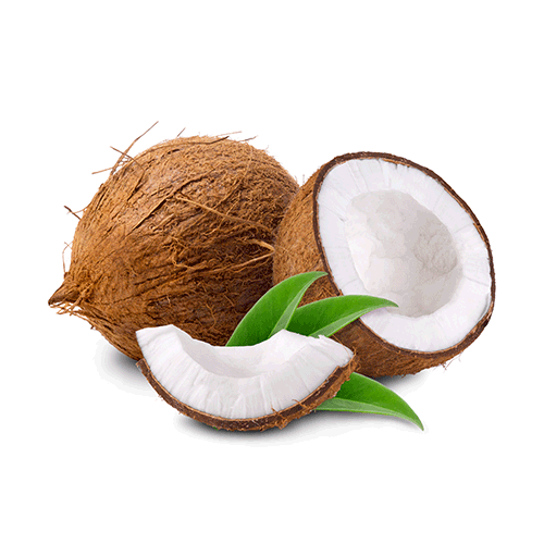 Coconut