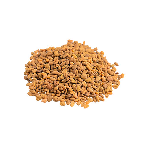 Fenugreek