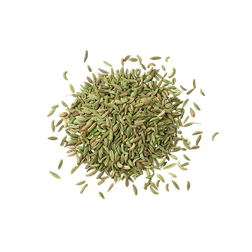 Fennel Seeds