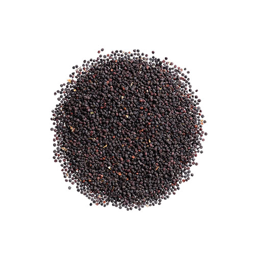 Mustard Seeds