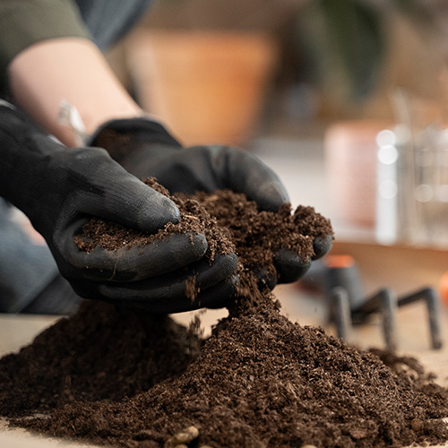 Vermicompost