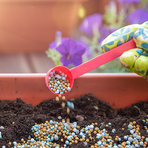 Granular Organic Fertilizer