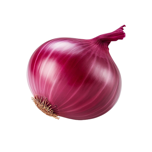 Onion
