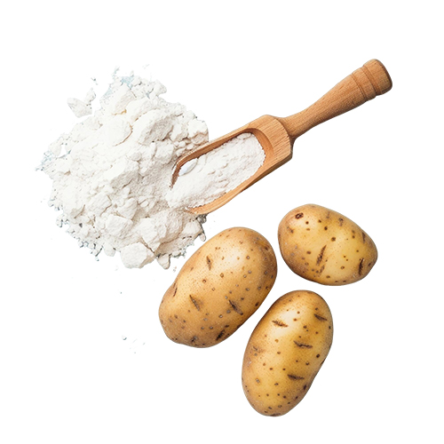 Potato Starch