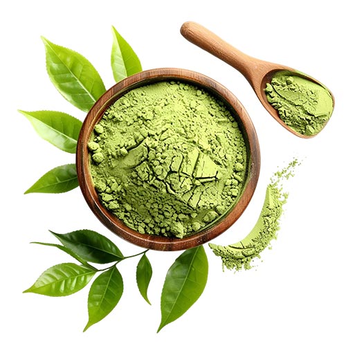 Moringa Powder