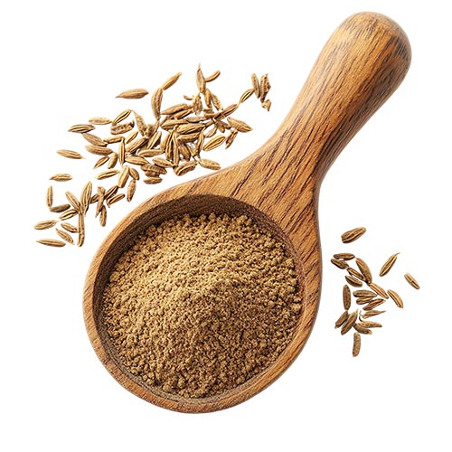 Cumin Powder