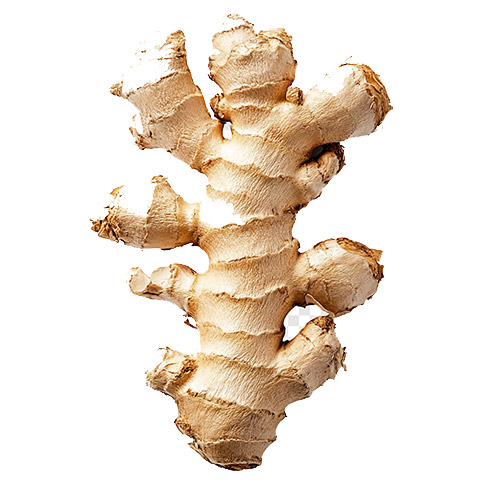 Dry ginger