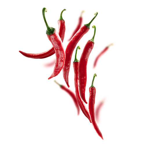 Red Chilli