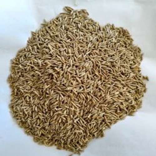 Cumin Seeds