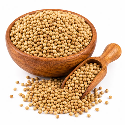 Coriander Seed - 198