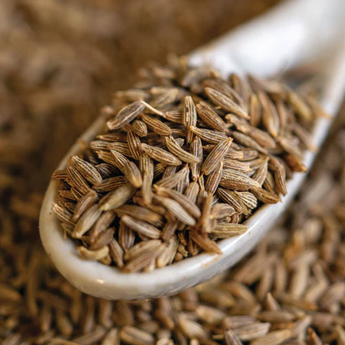 Cumin Seeds Cumin Seeds