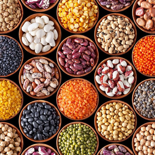 Pulses Pulses