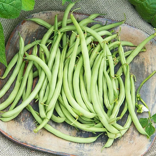 Beans