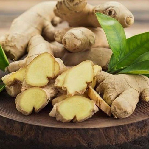 Ginger